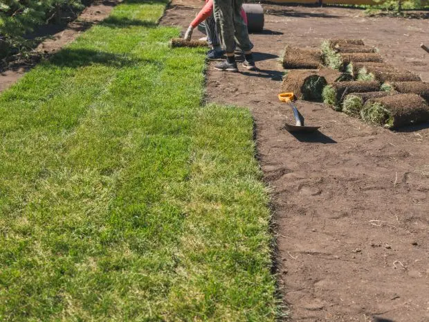 sod installation in maryland